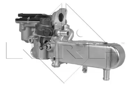 nrf-48208
