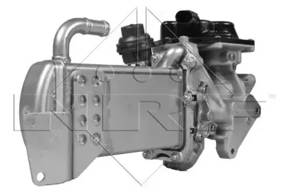 nrf-48209