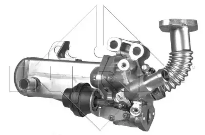 nrf-48212