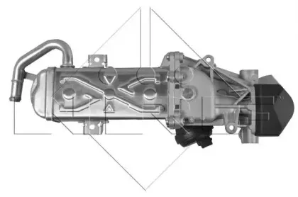 nrf-48213