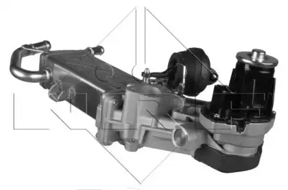 nrf-48214