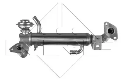 nrf-48217