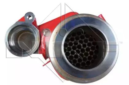 nrf-48300