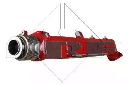 nrf-48300
