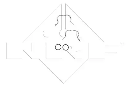 nrf-54224