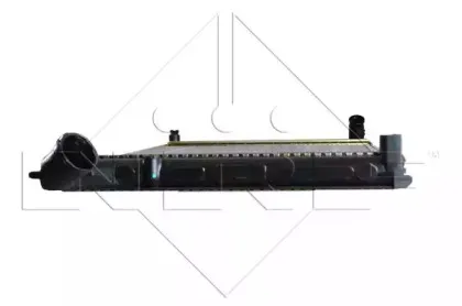 nrf-58019