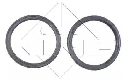 nrf-58303