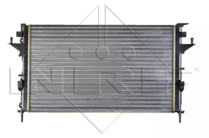 nrf-58319