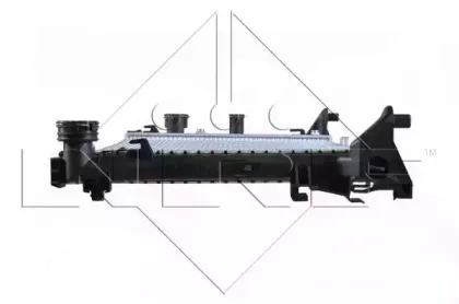 nrf-58336
