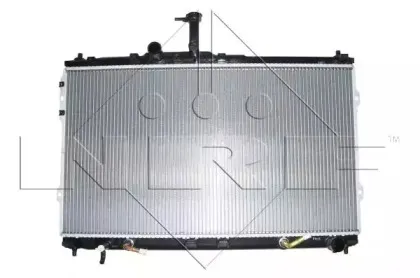 nrf-58421