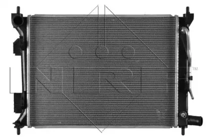 nrf-58556