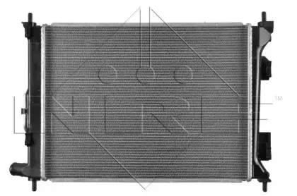 nrf-58556