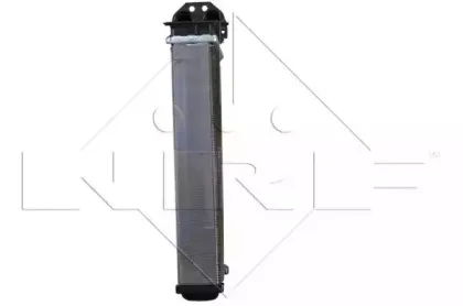 nrf-58617