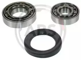 abs-200063