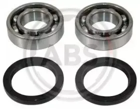 abs-200503