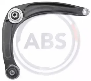 abs-211213