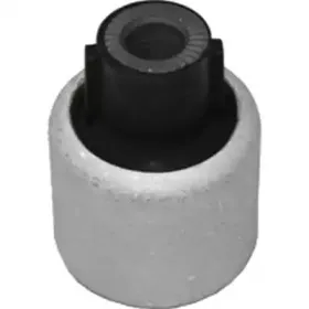 2036 BIRTH Подвеска, рычаг независимой подвески колеса