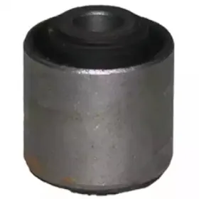 2090 BIRTH Подвеска, рычаг независимой подвески колеса