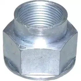 birth-4500