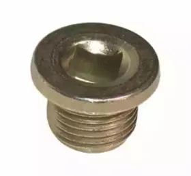 4961 BIRTH Резьбовая пробка, масляный поддон