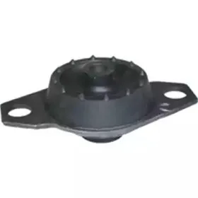 5091 BIRTH