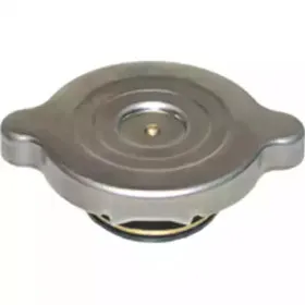 8762 BIRTH Крышка, радиатор