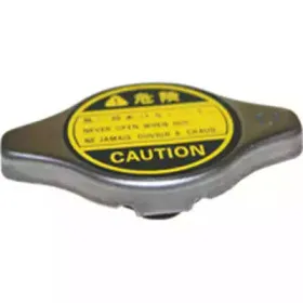 8940 BIRTH Крышка, радиатор