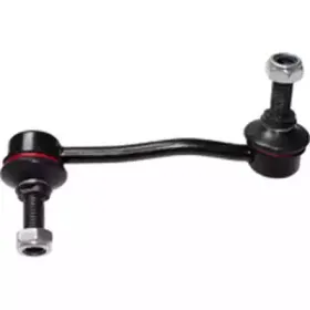 BD5029 BIRTH Тяга / стойка, стабилизатор