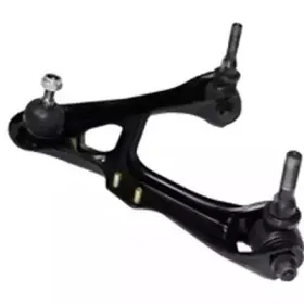 birth-br1106