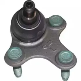 CS0013 BIRTH