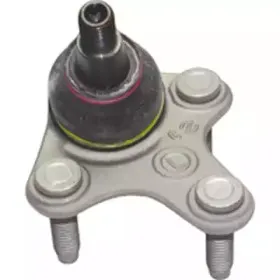 CS3667 BIRTH