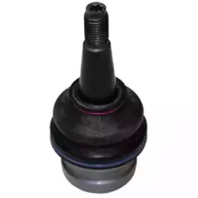 CX0021 BIRTH Несущий / направляющий шарнир