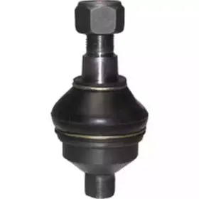CX0109 BIRTH