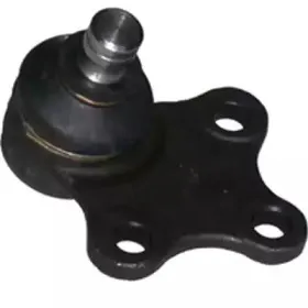 CX0641 BIRTH Несущий / направляющий шарнир