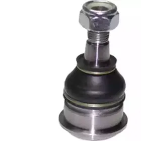 CX3552 BIRTH