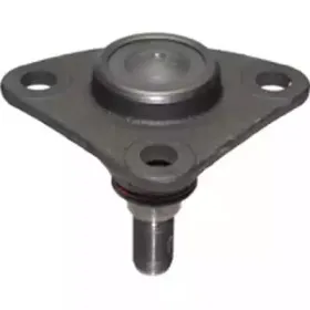 CX9210 BIRTH