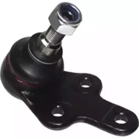 CX9231 BIRTH