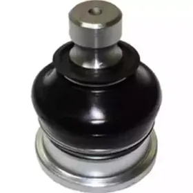 CX9241 BIRTH