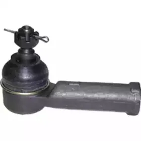 birth-rs2236