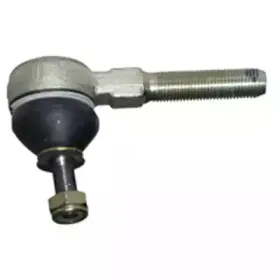birth-td0934