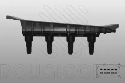 bougicord-155024