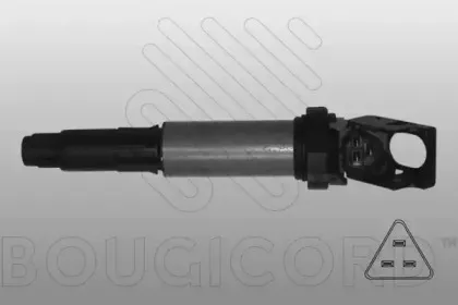 bougicord-155049