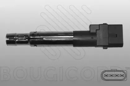 bougicord-155054