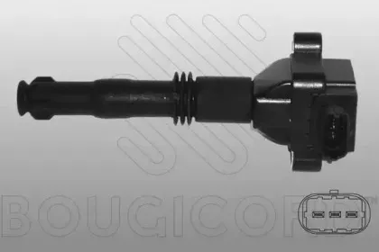 bougicord-155163