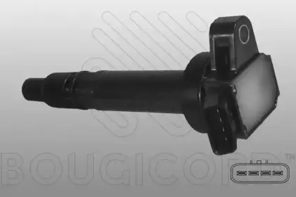 bougicord-155175