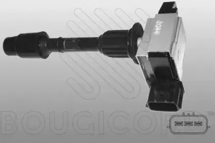 bougicord-155178
