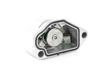 161103 BOUGICORD Термостат, охлаждающая жидкость