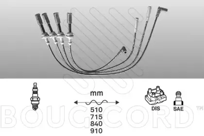 bougicord-4033