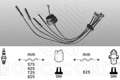 bougicord-4038