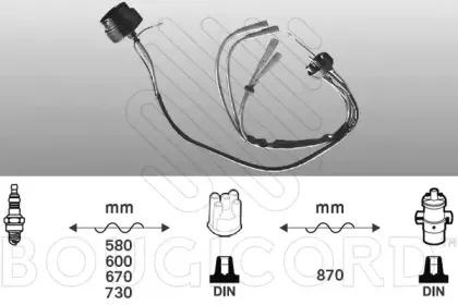 bougicord-6202
